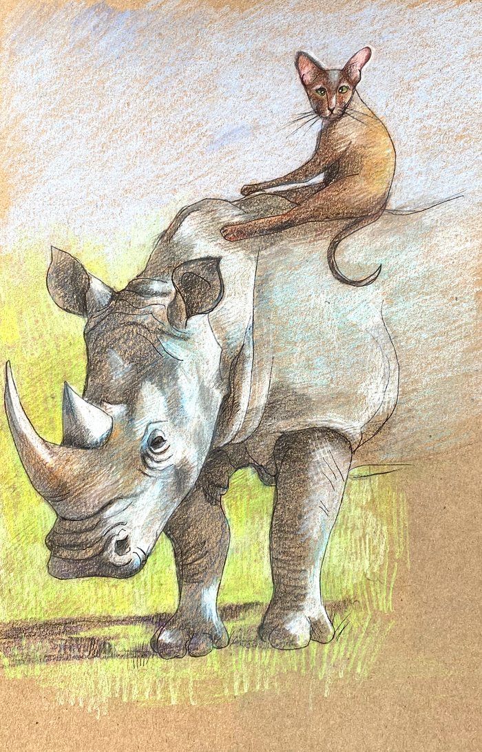 ������ ���������