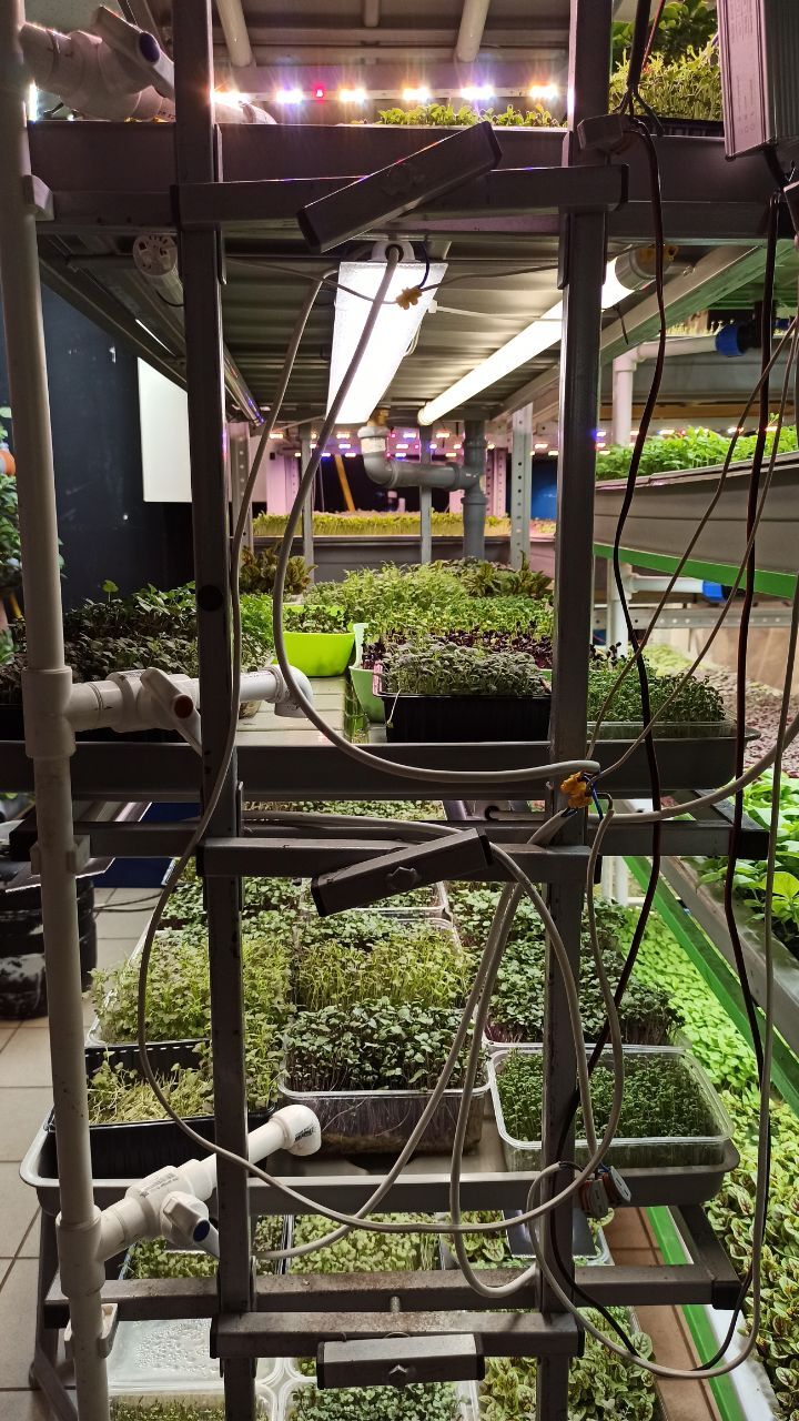 Is it possible to get a grant for a vertical farm? I'm exploring all the options. - Grants, Government support, Business, Farming, Longpost