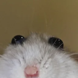 Mo0d