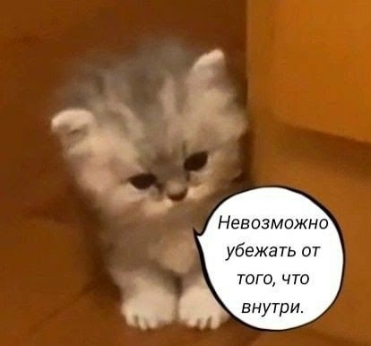 ����� ����� �����