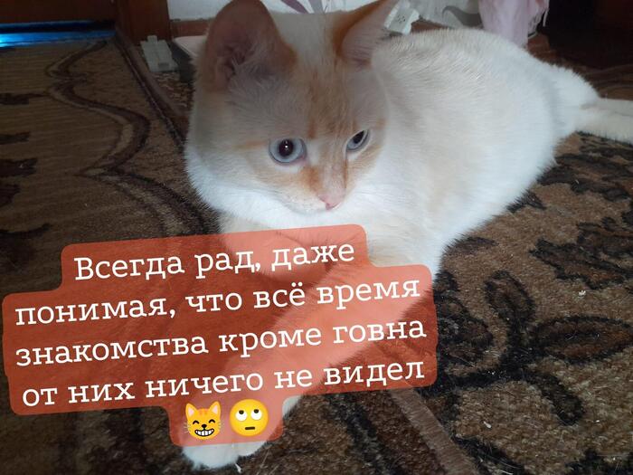 История о благодарность, дружбе и предательстве