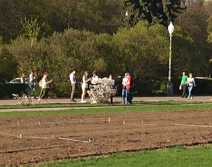 ���������� ������.