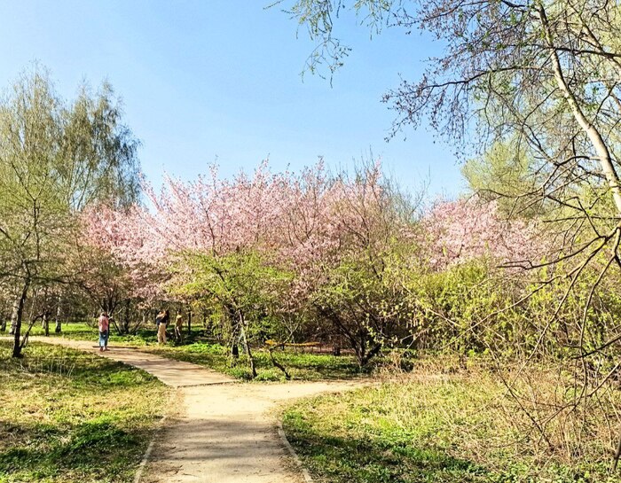 ���������� ������.