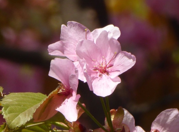 ���� ������.