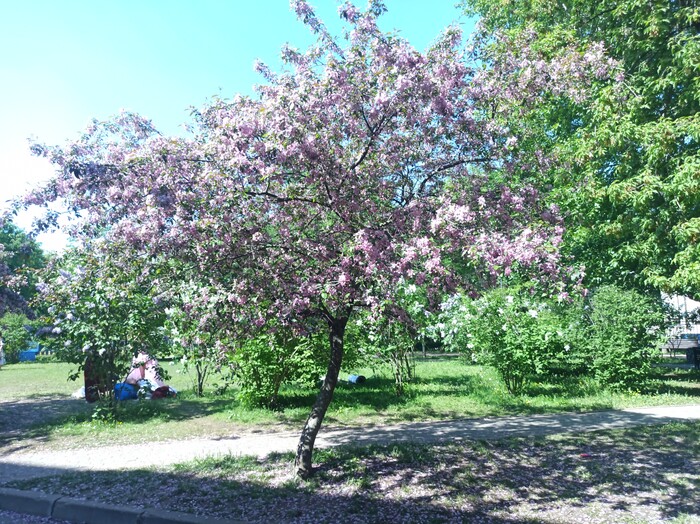 ���������� ������.