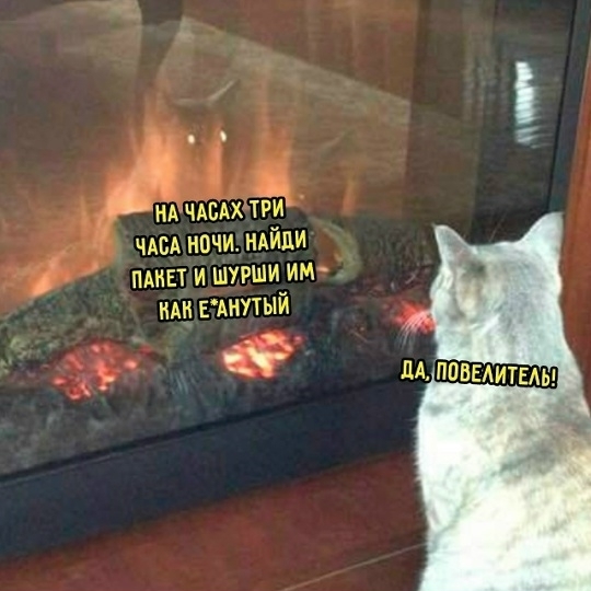 ��, ����������!