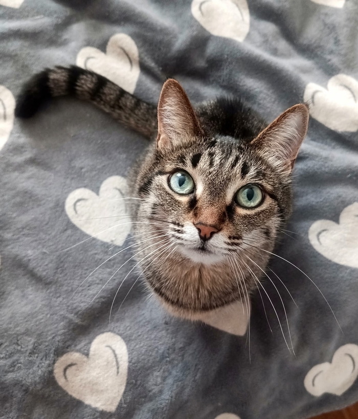 Знакомьтесь: Лилу. Мультипаспорт)