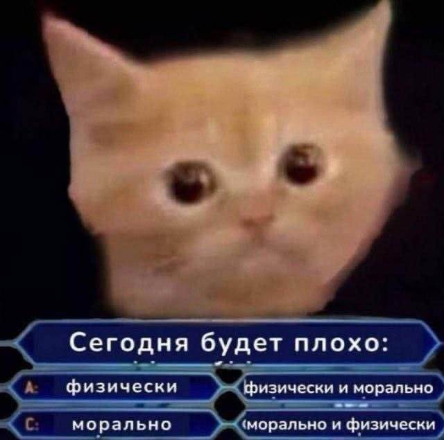 ������ ������