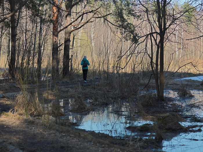 � ����������� ����