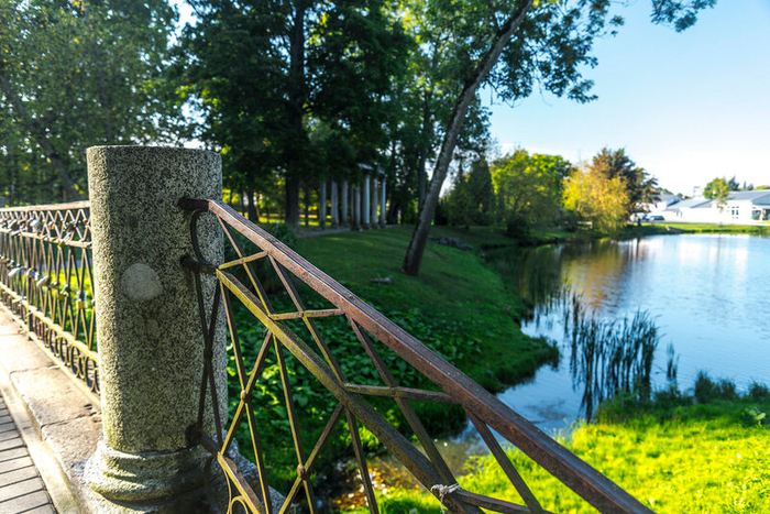 ����� ���� ����.