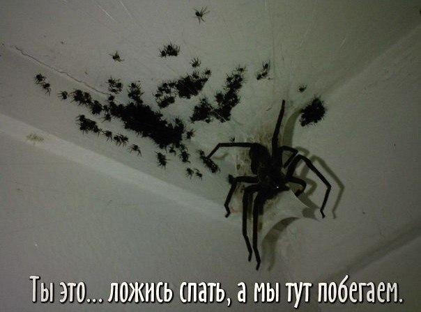 � 1 ������)
