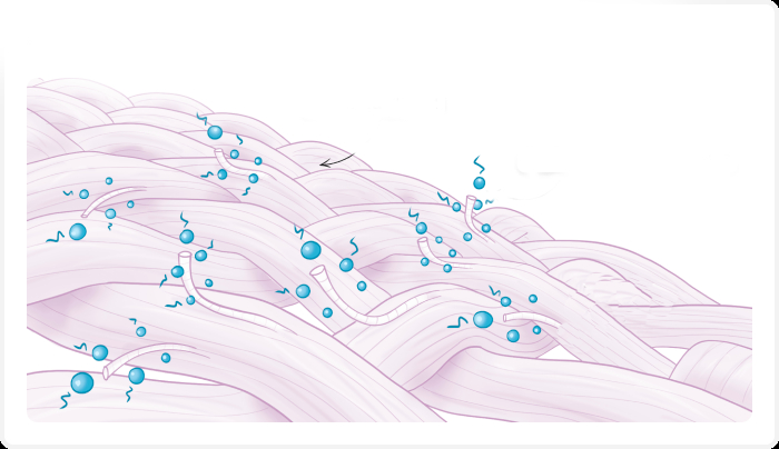 ����������� ��� ����� ������� ����. ������?