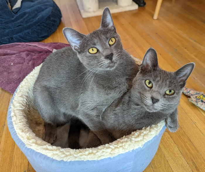 �� � � ������ ������