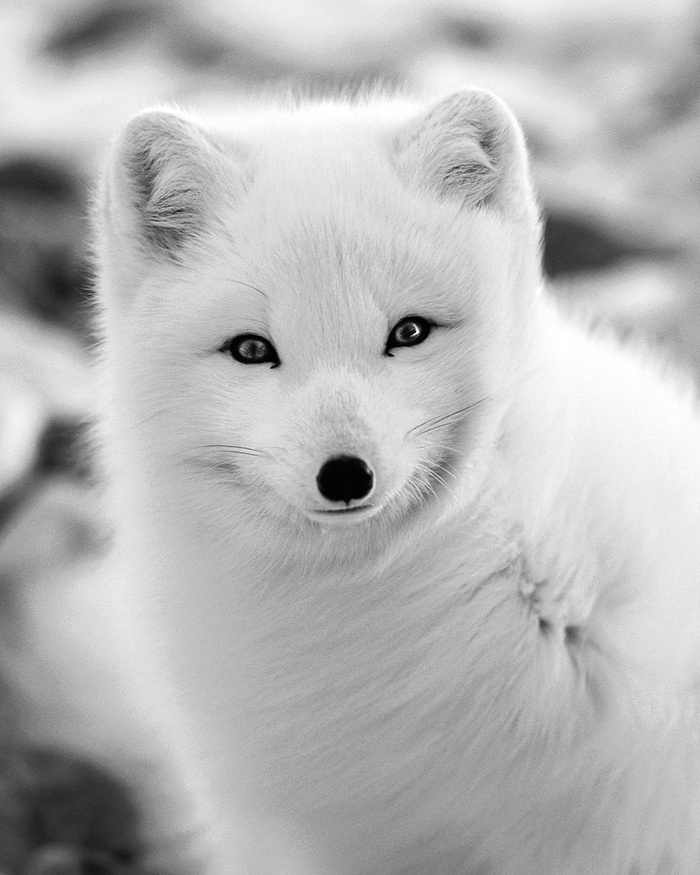 Никакого мирного времени быть не может, мы готовимся к войне, — заявил Лукашенко на встрече с белорусскими военными