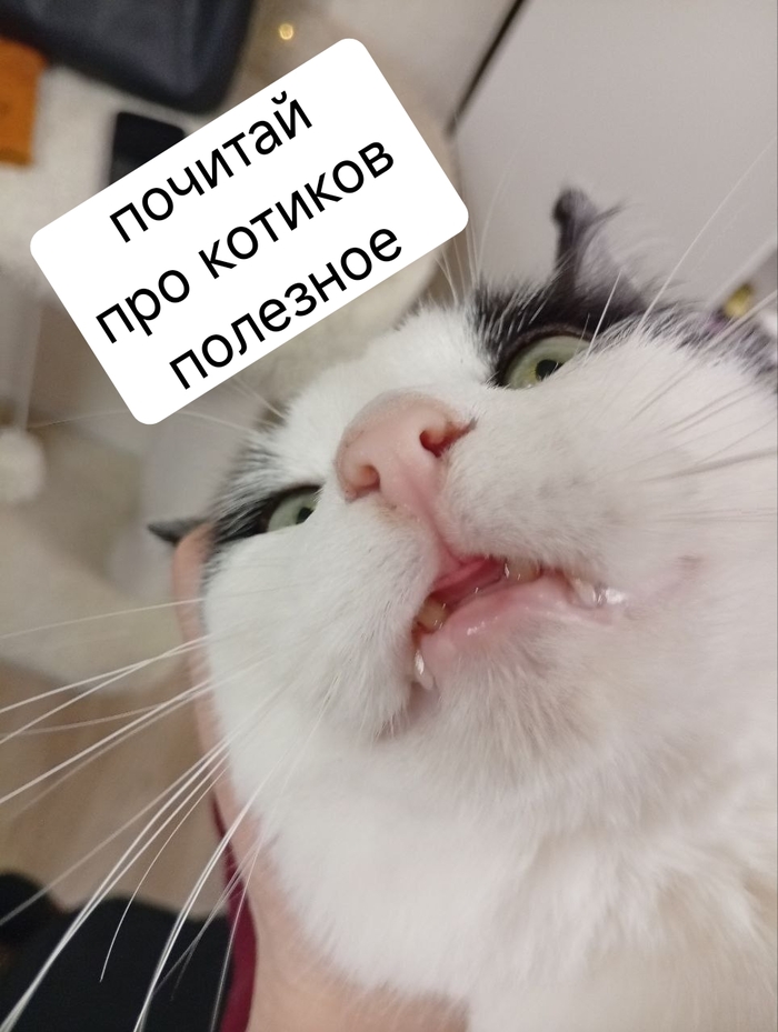 ��� ������� ���, ����� �������: