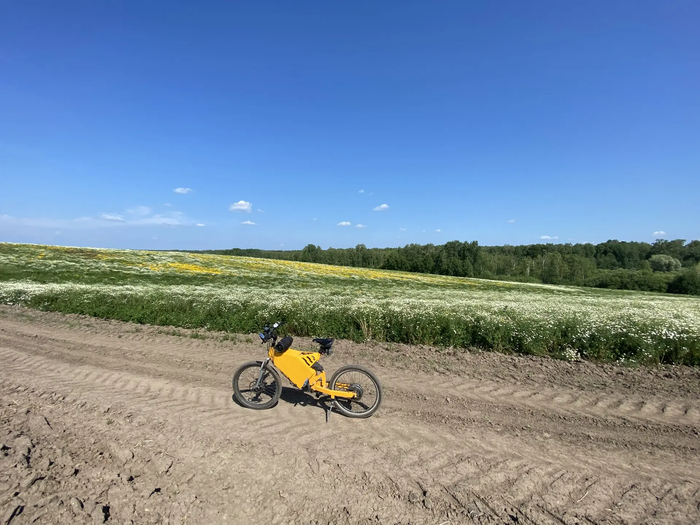 Ответ на пост «Я назвал это фото "Восемь петухов"»
