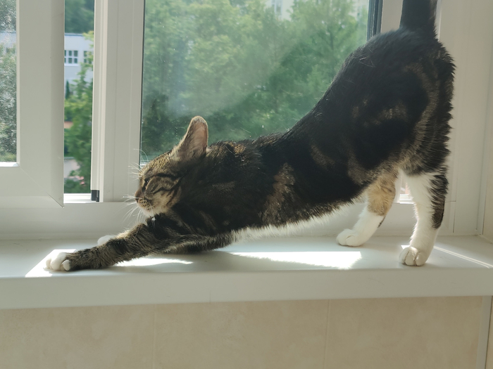 ������ �����