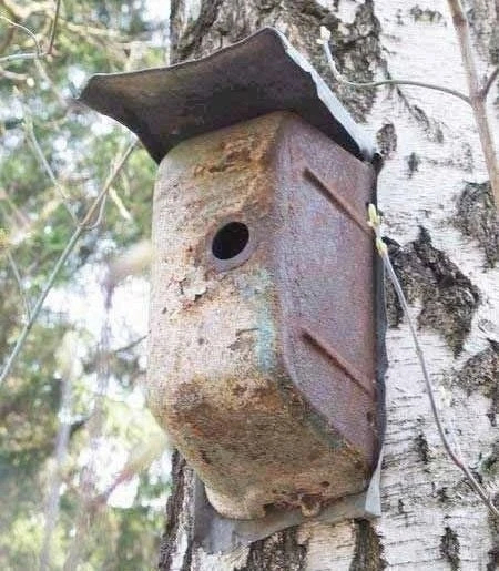 ������� ����������, ��������, � ����������)))