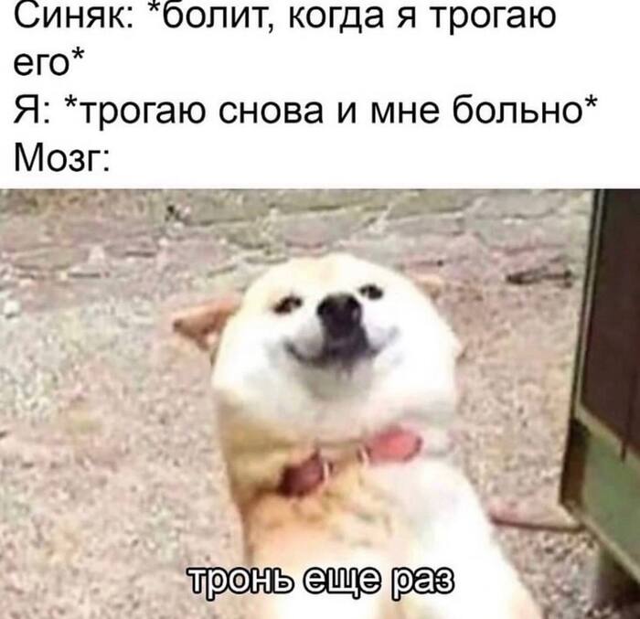 ����� ��� ���