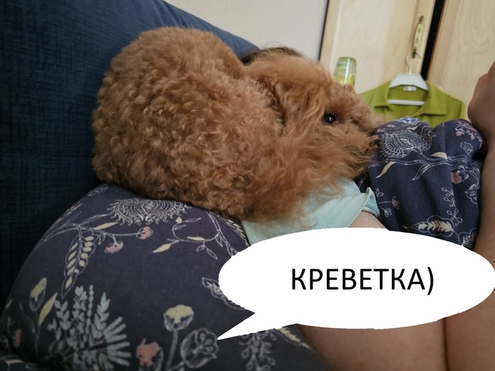 Доброе утро