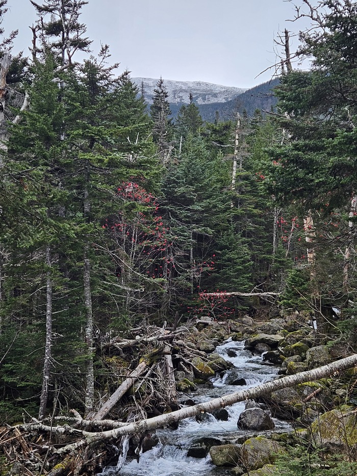 Река Аммоносук (Ammonoosuc River), предгорье горы Вашингтон, Нью Хэмпшир, США