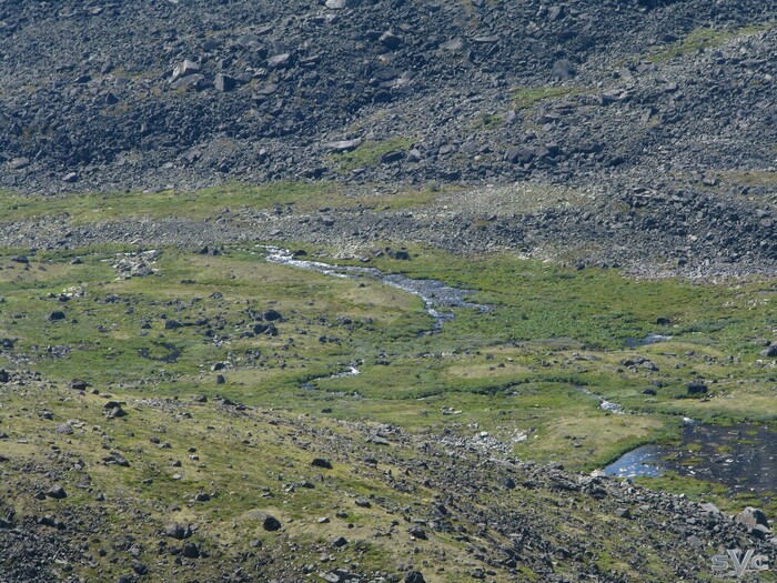 � ��� ��� ������� ���� �� ������ ���� �����-��������