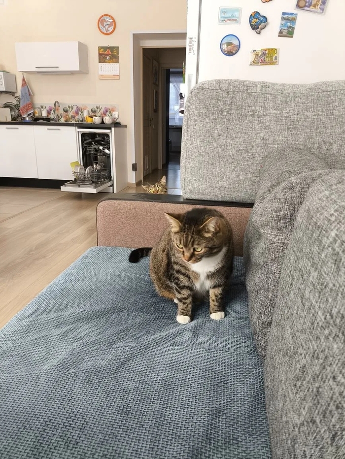 ��� ������