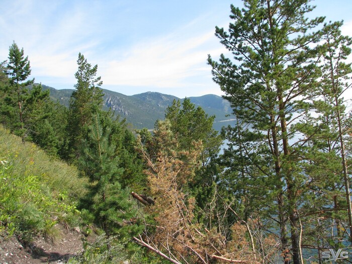 ������� ����������� ����� (���). ����� ���������� ������ ������ ������.