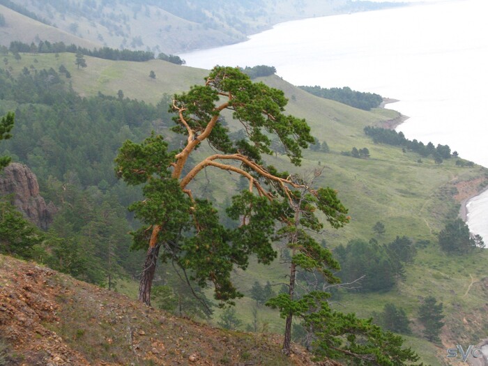 ��� ��� ������� ��� ���� ������ ��������. ����� ����� ������ ����� ����� ������� �����, �� ������� �� ���