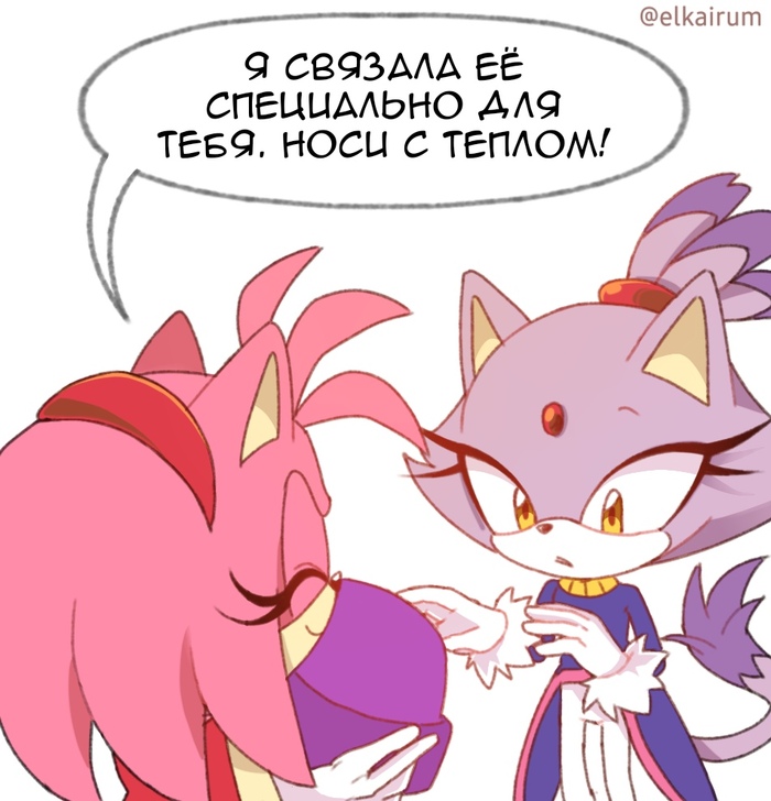 Блейз и Эми Blaze the Cat and Amy Rose