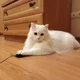 Аватар пользователя user5059169