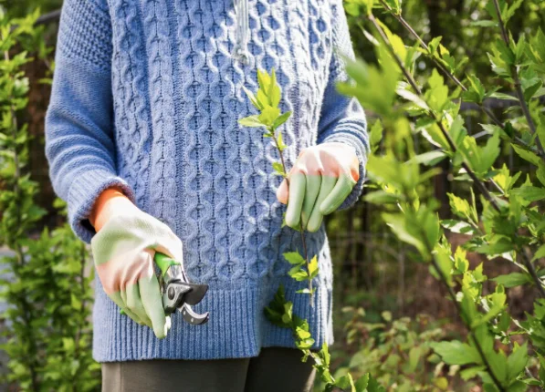 Top 10 Garden Tools: Opening the 2026 Season - Dacha, Garden tools, Garden, Gardening, Growing, Land plot, Plant growing, Longpost
