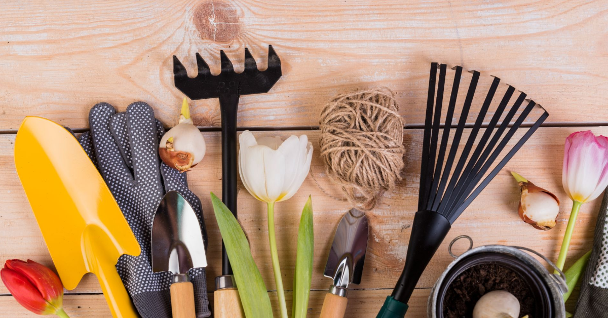 Top 10 Garden Tools: Opening the 2026 Season - Dacha, Garden tools, Garden, Gardening, Growing, Land plot, Plant growing, Longpost
