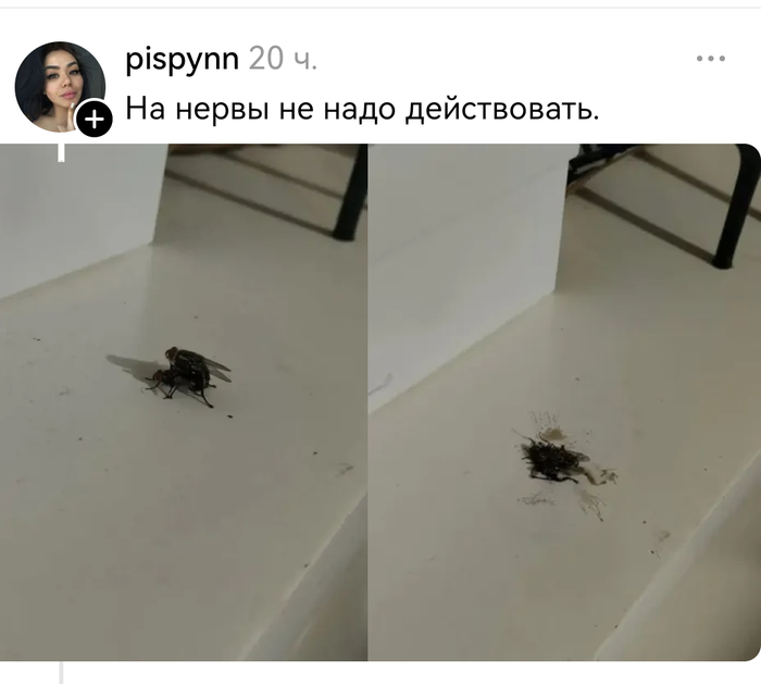 ���� � ��� ���� (���) ����