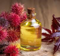 ������ ������. ����� ���������, ���� ������ ���������