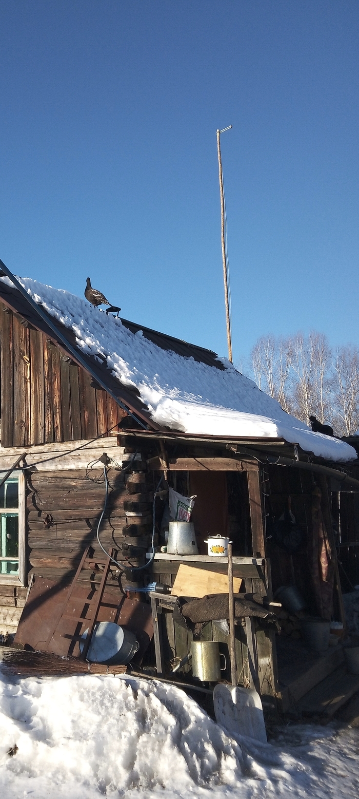 ������� ��������� �������������