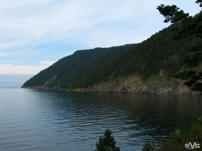 ��������� � ���� ������ ��� �������