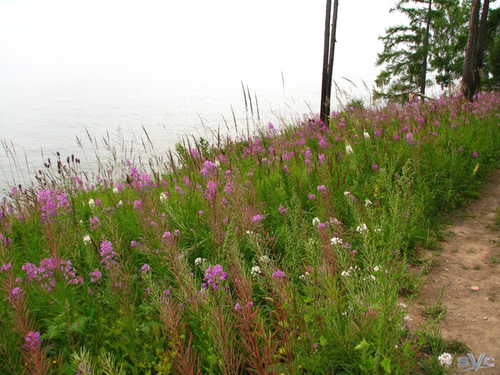 ������, ��������� ������� � ������� �����