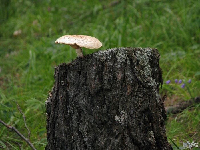 � ���� �� ������