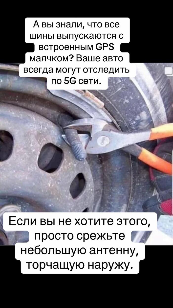 ���� �������������