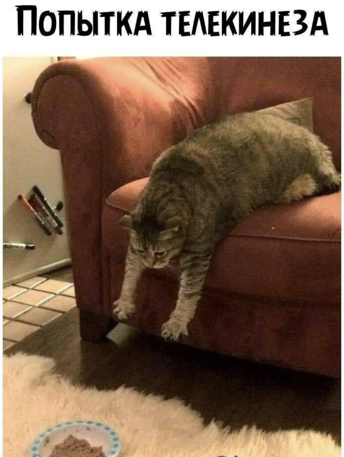 Тестировщик осваивает новую фичу