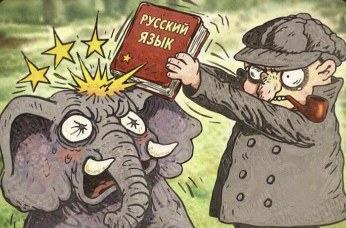 ��� �������� ����