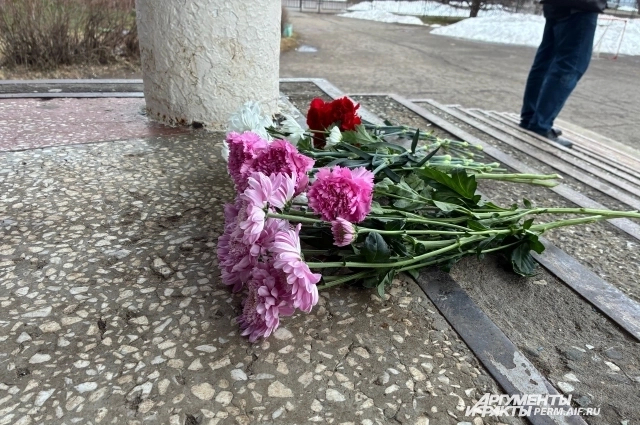 ����: ���/ ���� ��������