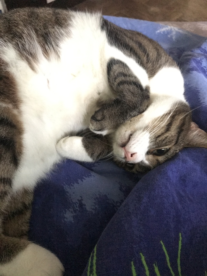 ���, ��������, ��� ������ ����