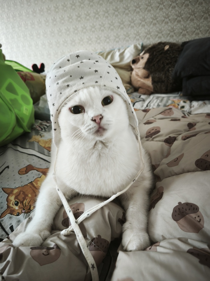 Когда бабушки спрашивают, скоро ли будут внуки