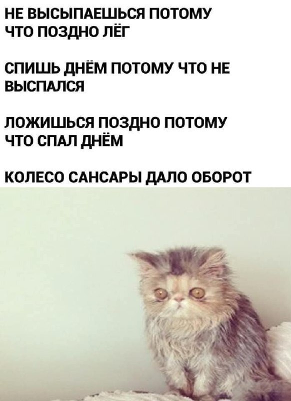 ����� ����� �������