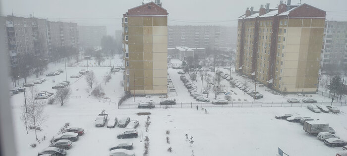 ������ �����