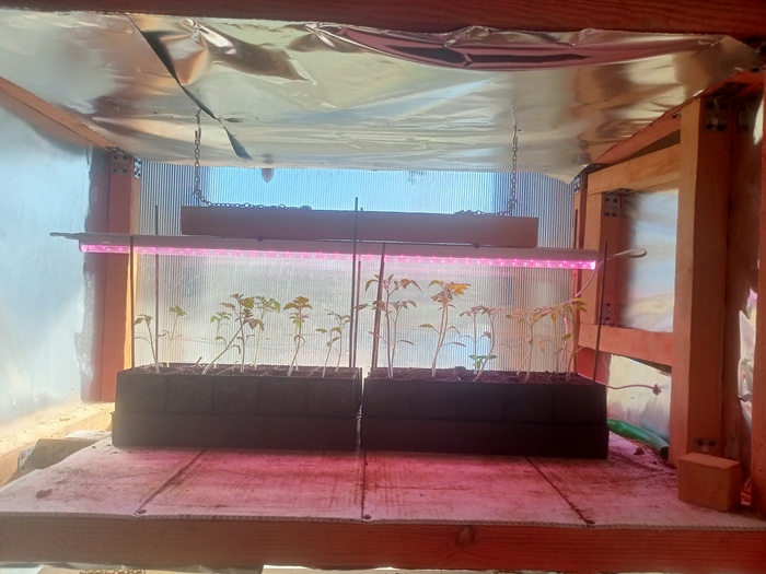 ��������� ��������� ���������, ���������� ��� ������������.