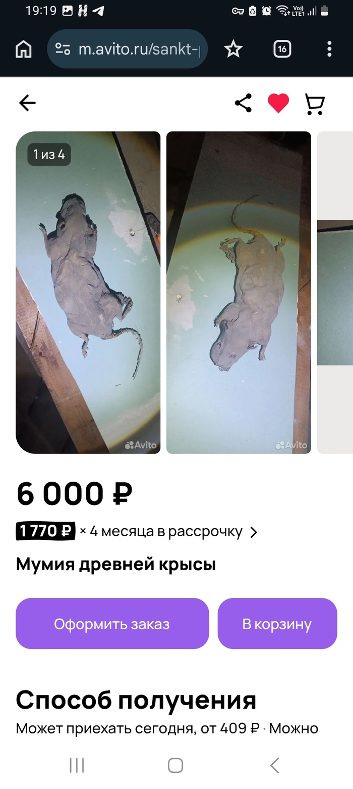 ����, ��� ������.