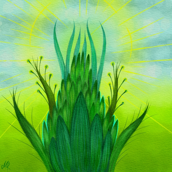 �� ��� ������?